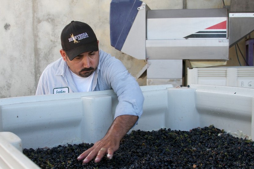 Santos Del Torro, Cellar Master