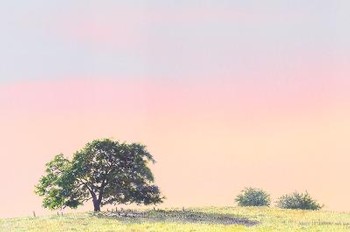 Sandy Delahanty - Summer Sunset