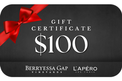 $100 - eGift Card